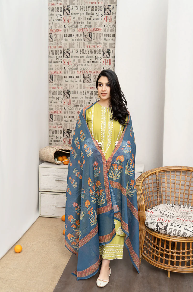 3 Piece - Lawn Embroidered Suit - SU0023