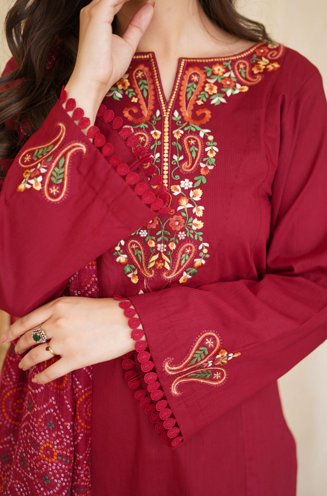 Asling - Winter 3PC Dhanak Embroidered Suit - SS0412