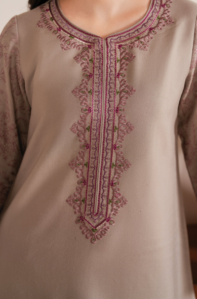 Garnet - Winter 3PC Dhanak Embroidered Suit - SS0232