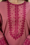 Lazuli - 2PC Dhanak Embroidered Suit - SS0954